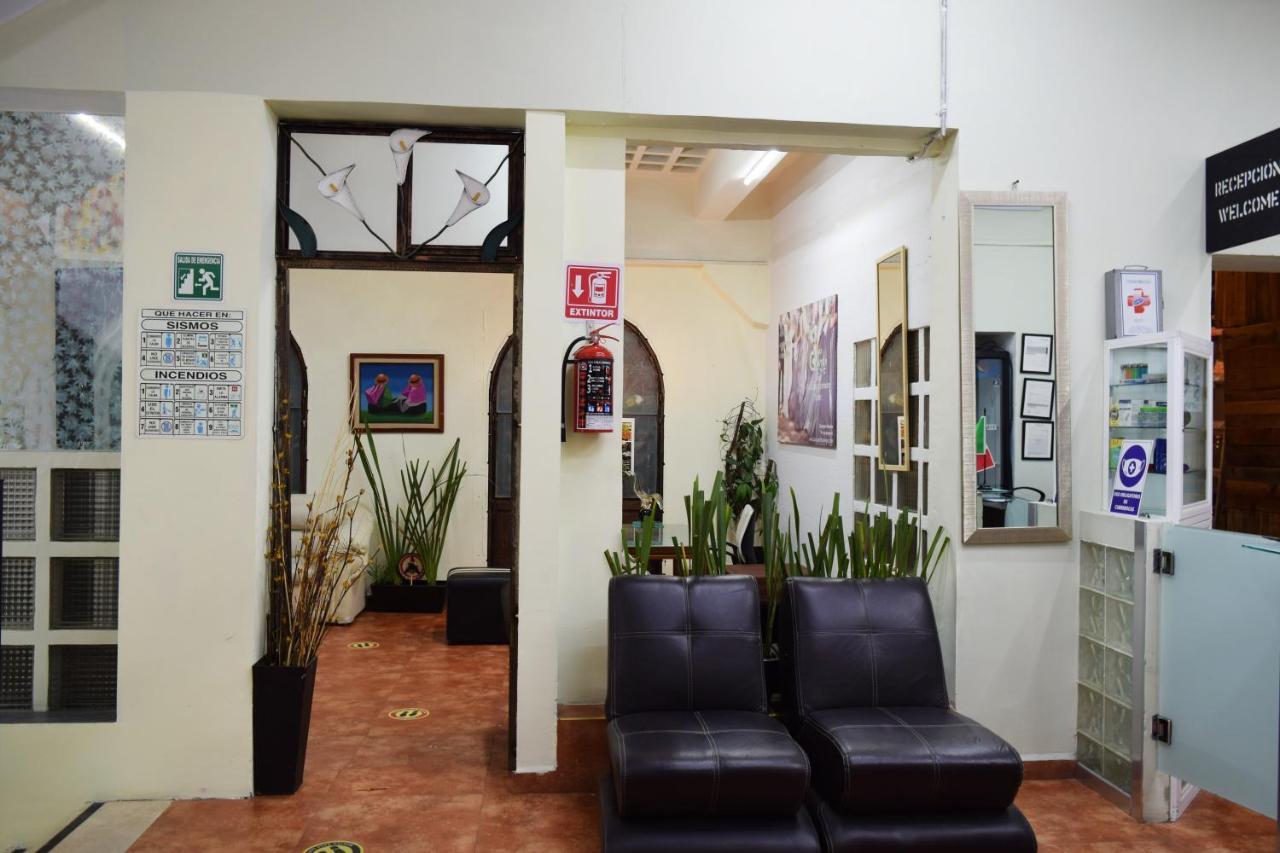 Hostel Plaza Mayor Мехико Экстерьер фото